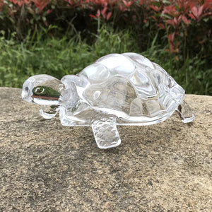 Tortoise Glass Decor - Wealth