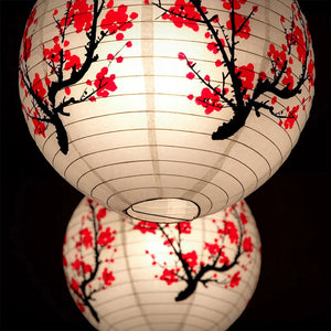 Chinese Lanterns - Plum Blossom