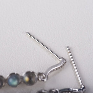Labradorite Dangle Earrings – Elegance