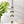 6 Bells Wind Chimes - Feng Shui