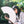 6 Colors Hand Fans – Energy