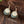 Layered Necklace & Earrings Set – Elegant