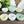 Green Jade Crystal Bowl – Blessed