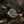 Tree of Life Ring – Strength