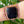 Rose Quartz & Rhodonite Apple Watch Band - Love - My Zen Temple