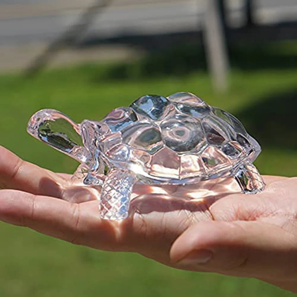Tortoise Glass Decor - Wealth