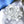 Lotus Flower Crystal  – Purity