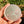 Natural Selenite Charging Plate - Energy Cleansing
