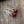 Stone Dangle Earrings – Healing