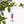7 Chakra Crystal Suncatcher -Decoration Objects My Zen Temple
