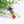 7 Chakra Energy Necklace -Necklaces My Zen Temple