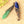 Crystal Pendulum – Insight