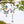 Butterfly Suncatchers -Decoration Objects My Zen Temple
