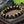 Mantra Obsidian Bracelet – Protection