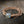 Labradorite Rope Bracelet 