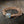 Labradorite Rope Bracelet 