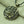 Lotus Crescent Moon Necklace -Necklaces My Zen Temple