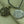 Lotus Crescent Moon Necklace -Necklaces My Zen Temple