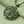 Lotus Crescent Moon Necklace -Necklaces My Zen Temple