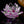 Lotus Flower Glass 