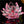 Lotus Flower Glass 