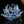 Lotus Flower Glass 