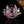 Lotus Flower Glass 