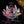 Lotus Flower Glass 