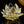 Lotus Flower Glass 