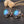 Moonstone Aurora Earrings -Earrings My Zen Temple